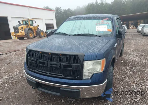 2010 Ford F-150 Xl/Xlt z USA, uszkodzony, nr VIN 1FTEW1E82AFB62459